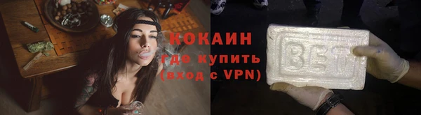 дживик Алексин