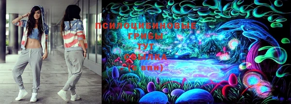 дживик Алексин