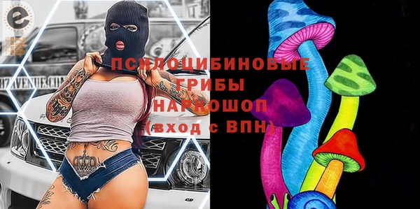 дживик Алексин