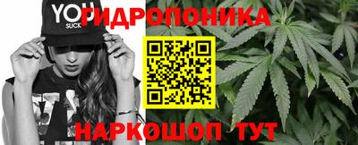 гидра Гусиноозёрск