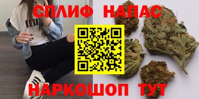 гидра Гусиноозёрск