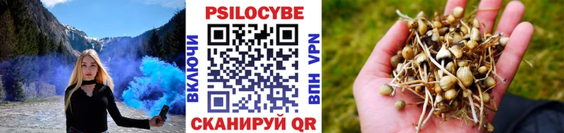 Галлюциногенные грибы Psilocybine cubensis  где продают наркотики  ОМГ ОМГ tor  Ливны 