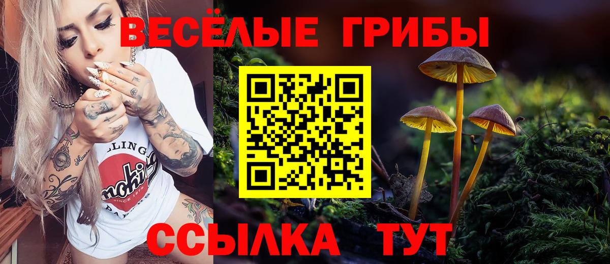 Псилоцибиновые грибы GOLDEN TEACHER  Вход с VPN  Ливны 